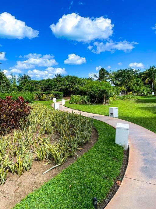 Punta Me Luxury Apartments Ocean View & Beach Front In Amara Cancún Zewnętrze zdjęcie